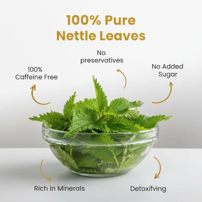 GRIVVA ORGANIC - Nettle Leaf Tea (50g) | Rich In Iron | Antioxidants | Supports Skin hair & Immunity | Loose Leaf Tea | Reusable Jar
